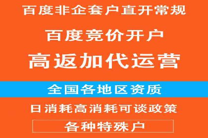 竞价推广公司案例：揭秘成功背后的秘密